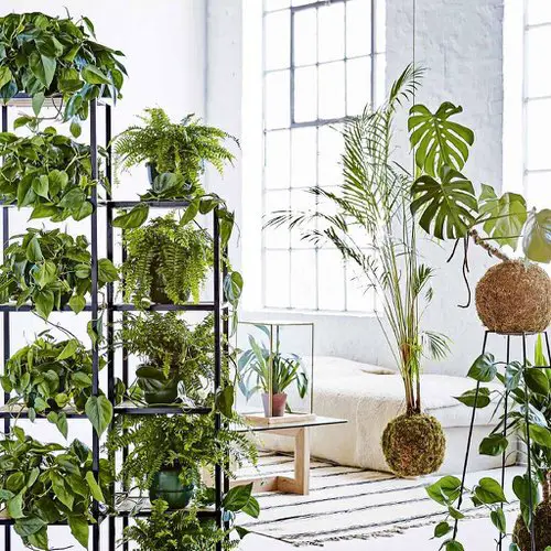 Vertical Plant Stand