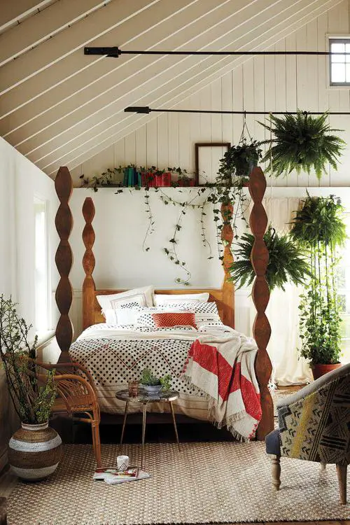 Bedroom Plants Hanging from Ceiling