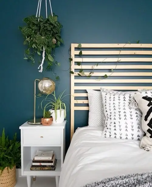 Plant Display Ideas