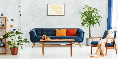 Plant Ideas for Large Rooms