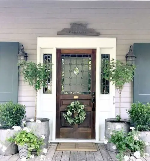 Decoration Ideas with Plants 