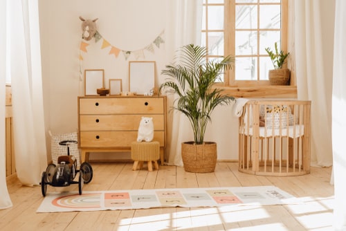 Palm in a Wooden Themed Kids Room