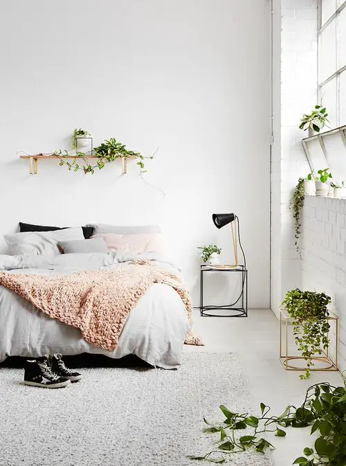 Bedroom with Trailing Plants