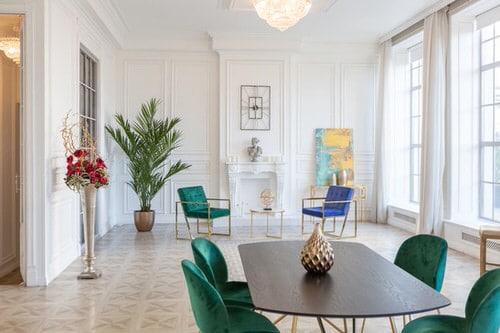 Indoor Plant Ideas for Large Rooms