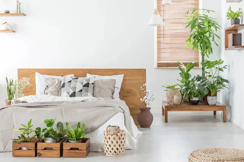 Wooden Bed with Air Purifying Plants
