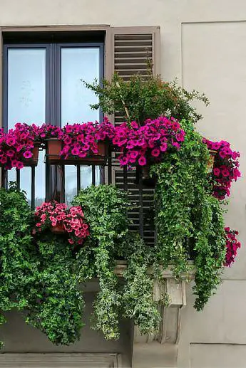 Small balcony inspiration for your Pinterest board! 29