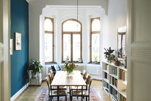 Indoor Plant Ideas for Large Rooms