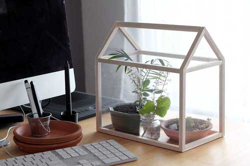 A Mini Greenhouse on table