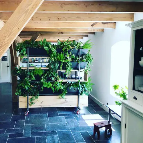 Movable Plant Stand with Rollers