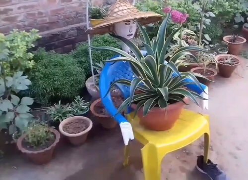 Popular Garden DIYs 