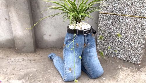 Most Popular Garden DIYs on YouTube in 2020 
