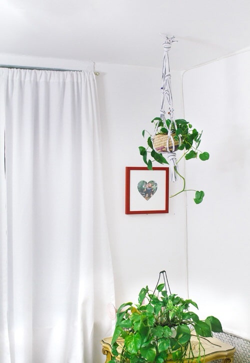 DIY Planter Hacks 17