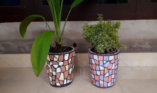 Popular Garden DIYs on YouTube in 2020 