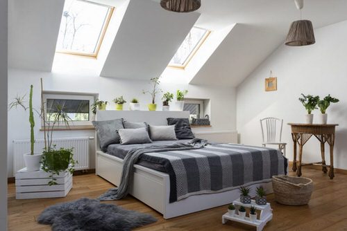 Attic Rooms with Plants Pictures