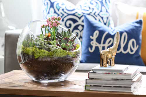 Really Cute Tabletop Succulent Garden Bowl DIYs for 2021 2