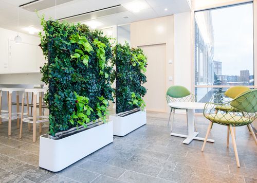 Outstanding Indoor Plants Room Divider Ideas Plant Wall