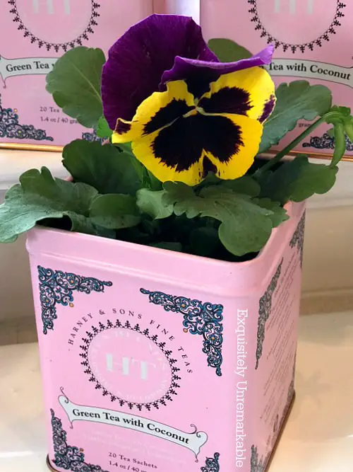Recycled Tea Tin Planters