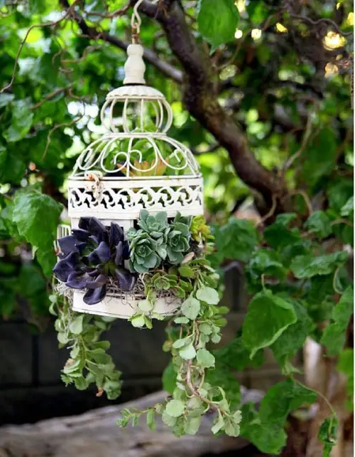 Birdcage Succulent Planter