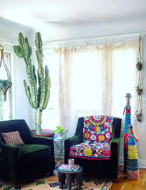 Tall Tree Like Houseplants You Should Grow