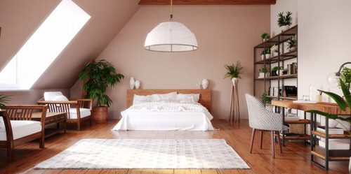 Attic Rooms with Plants Pictures
