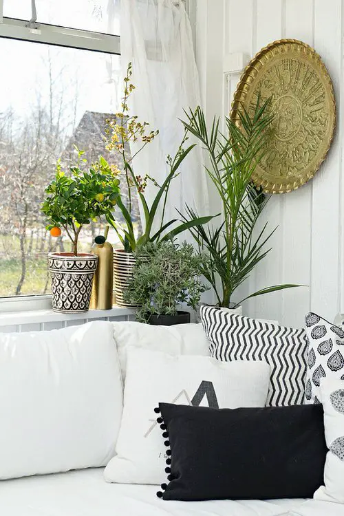 Stunning Indoor Plant Corners 