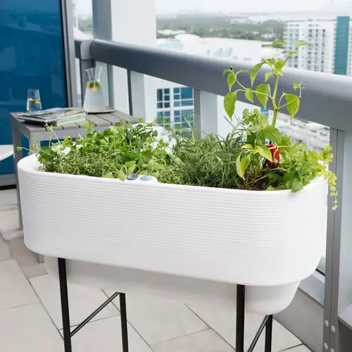 Raised Garden Planter