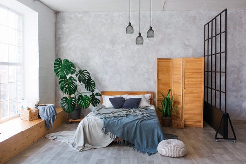 Snake Plant on the Bedside