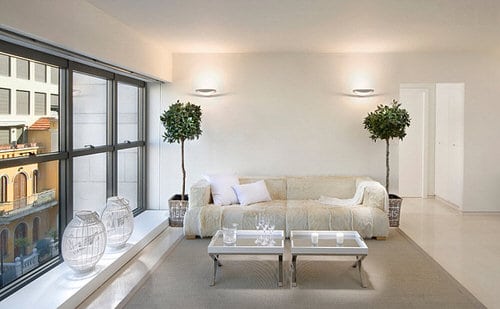 Indoor Plant Ideas for Large Rooms