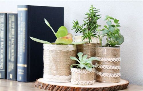 Succulent Planters