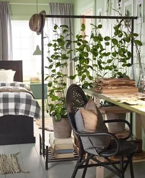 Outstanding Indoor Plant Room Divider