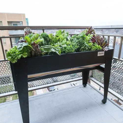 Planter with Wheels