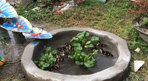 Popular Garden DIYs on YouTube