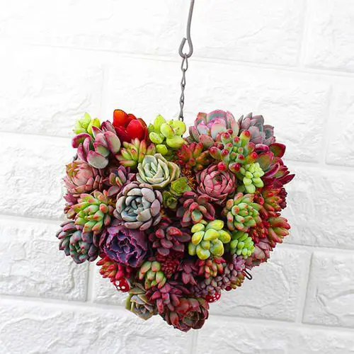 Succulent Hanging Garden Ideas 