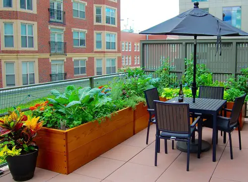 Large Raised Beds