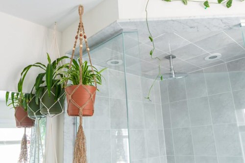 Bathroom Hanging Planters
