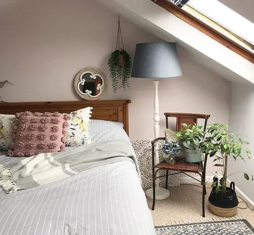 Attic Rooms with Plants Pictures