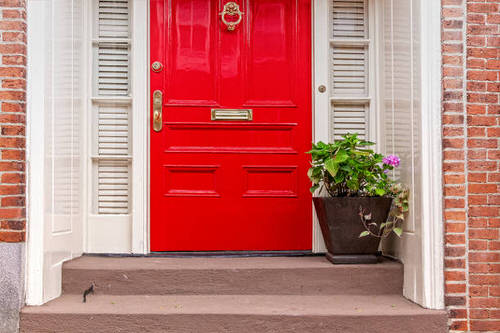 Entrance Decoration Ideas with Plants 