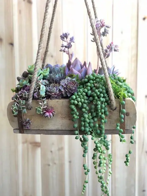 Succulent Hanging Garden Ideas
