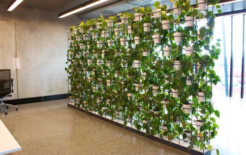 A Long Plant Wall