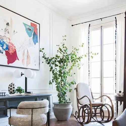 Tall Tree Like Houseplants You Should Grow