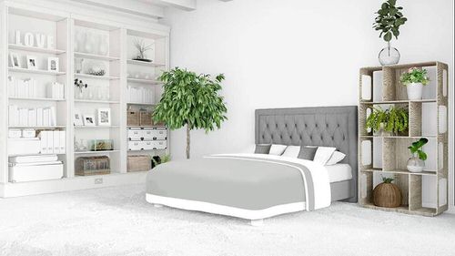 Indoor Tree and Plant Shelf