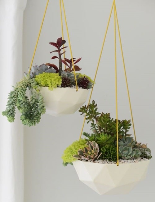 Hanging Garden Ideas