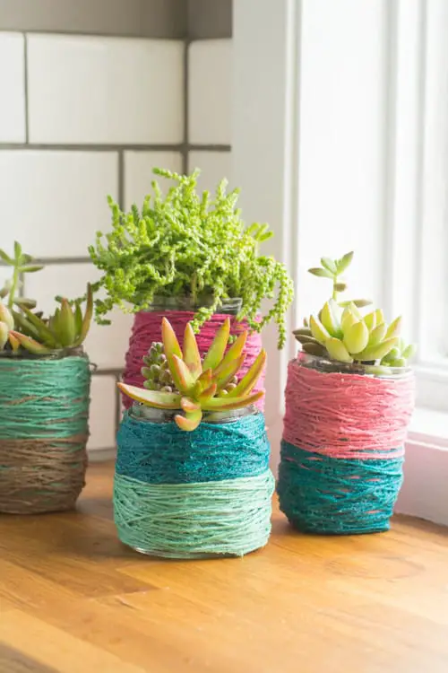 Succulent Planting Pots