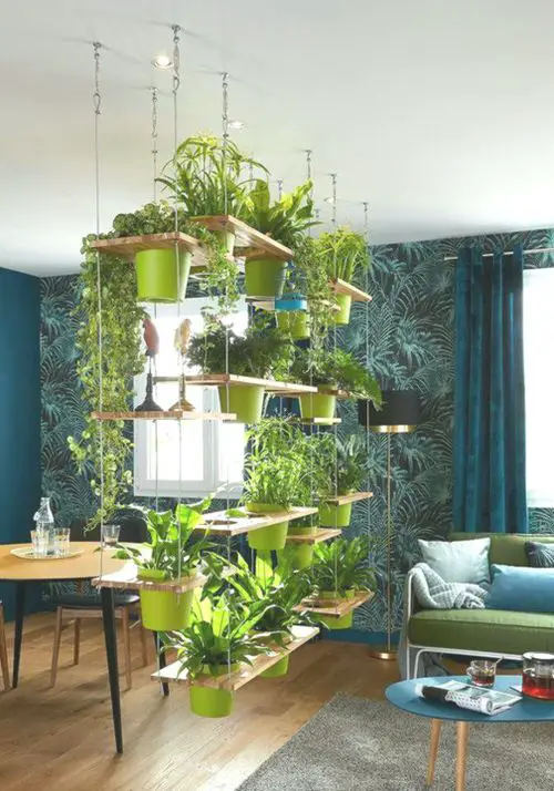 Hanging Plant Shelves