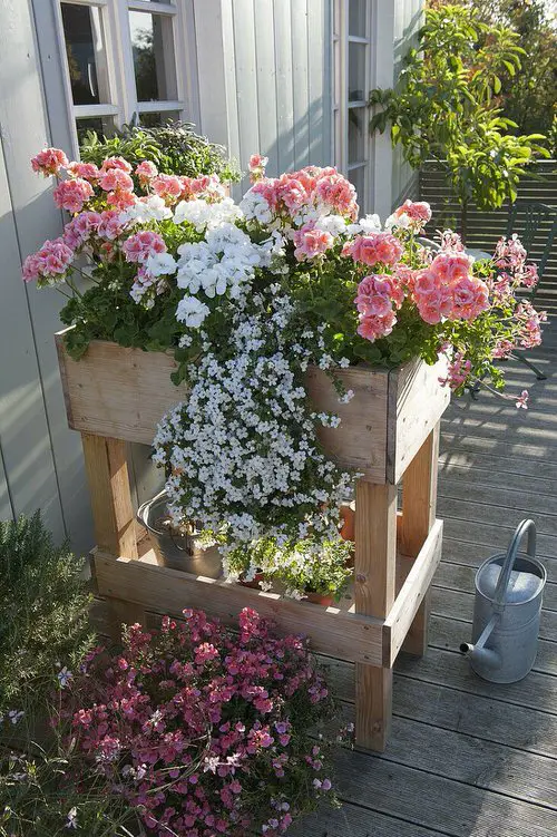 Raised Bed Ideas for Balcony Gardeners