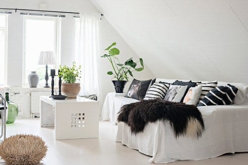 Stunning Attic Rooms with Plants Pictures