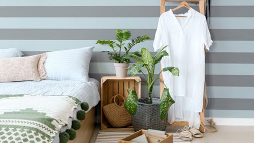Bed with Plants