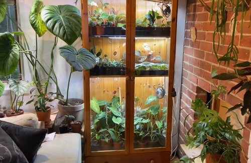 Old Plant Cabinets into Plants Home 