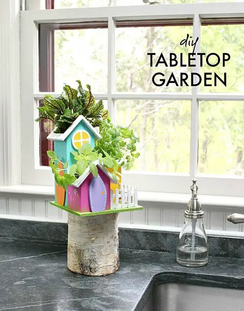Birdhouse Garden for Tabletops