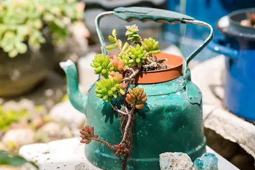 Tea Kettle Planter